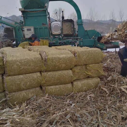 建平县秸秆类饲料  过冬草块。