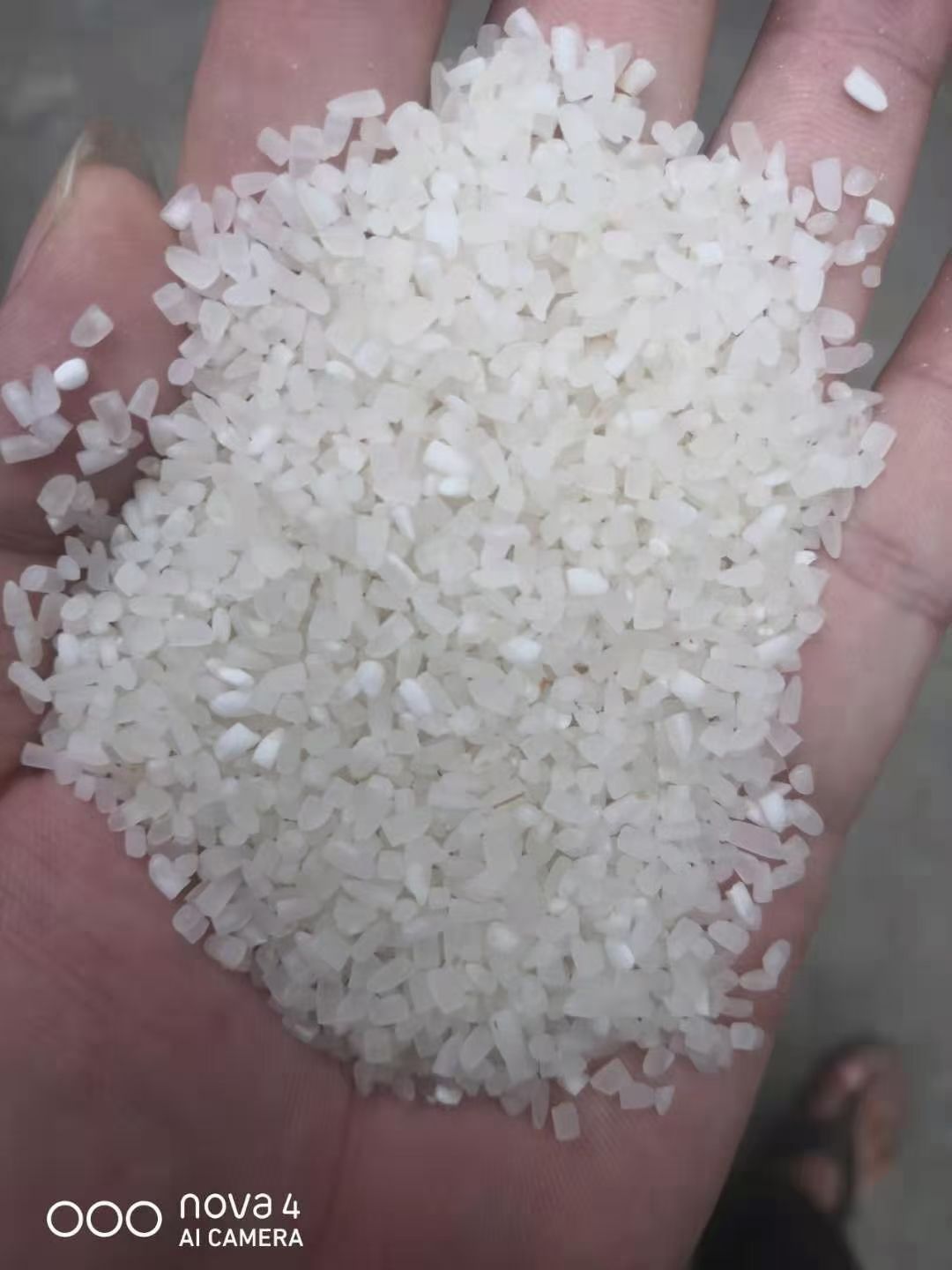 缅甸大米  色选碎米  颜色好  货物更好