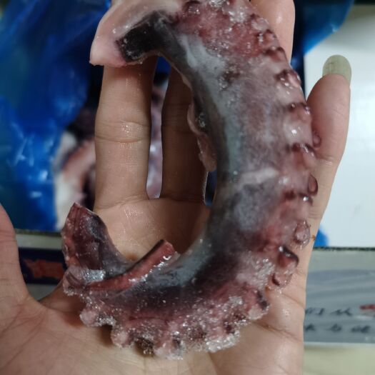 佛山脆口章鱼须 鱿鱼须 肉质鲜脆 厂家直销 批发