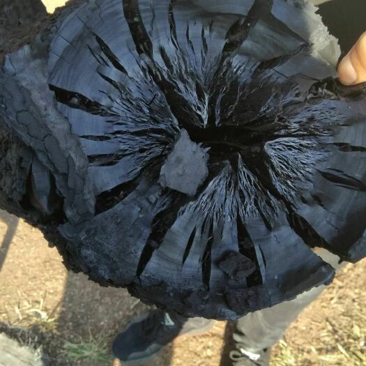 南皮县木炭  赔钱处理 果大块   质量保证取暖烧烤都可以大量现货