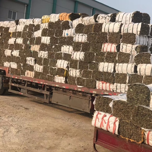 粽叶批发干粽叶大粽叶粽粑叶麻竹叶箬竹叶粑粑叶发糕叶整捆批发