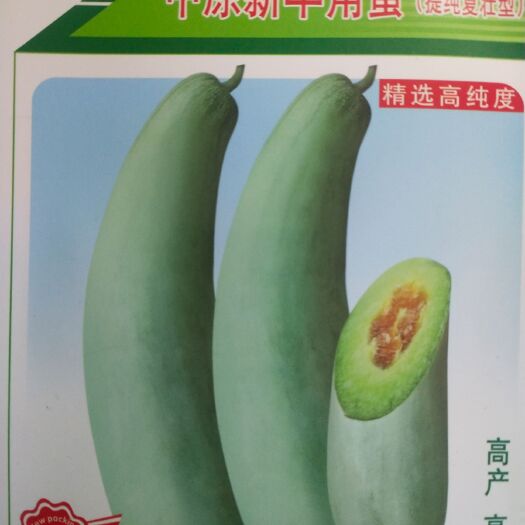 扶沟县羊角蜜甜瓜种子  甜瓜种子，羊角蜜 早熟， 含糖量高