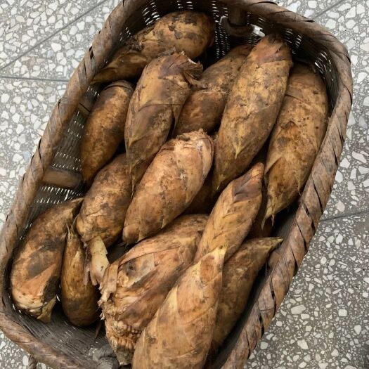 杭州 赣西山区冬笋，品质好。