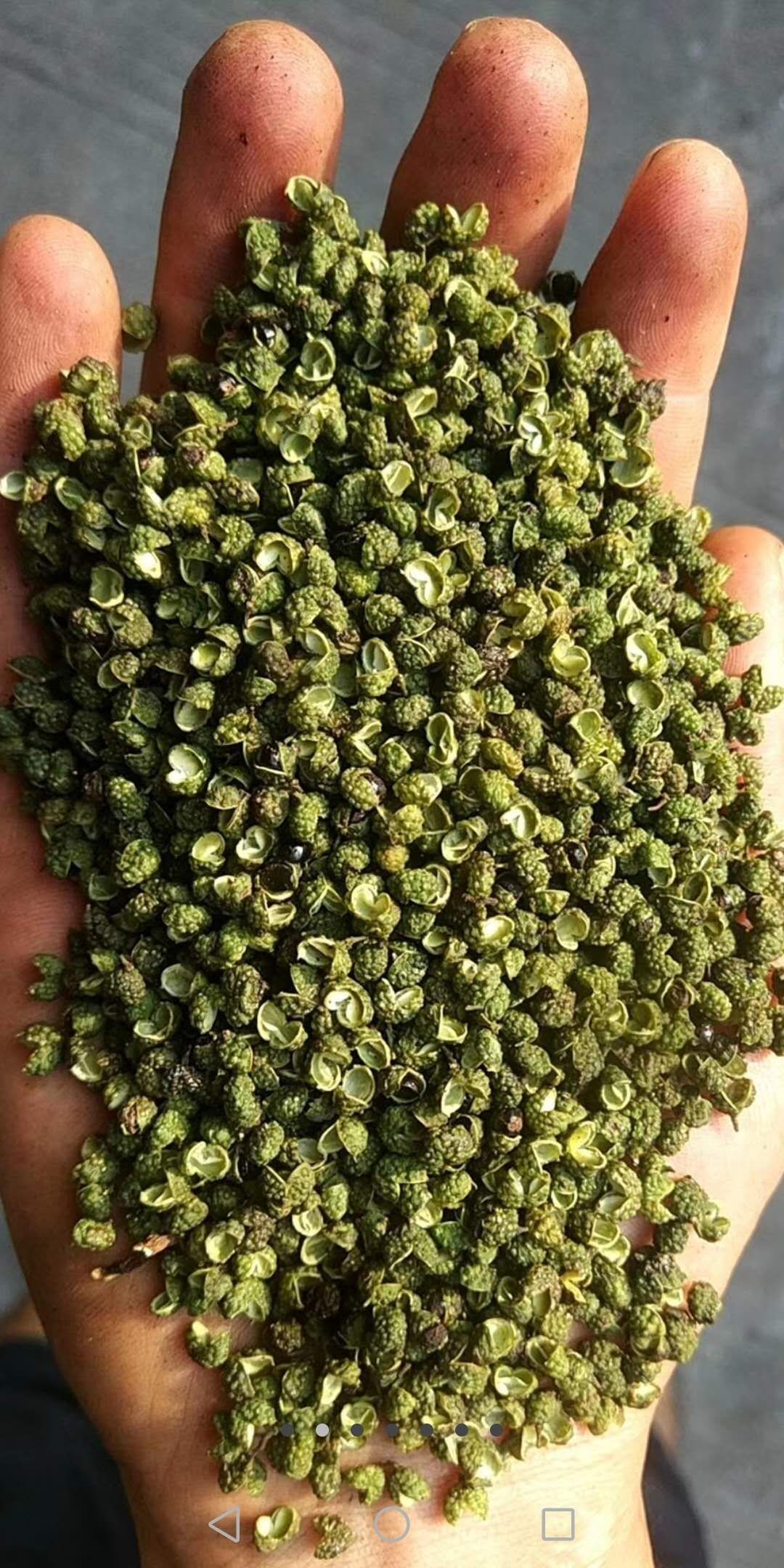 花椒粉  重庆江津纯青麻椒粉，粗细都有，下单备注粗细