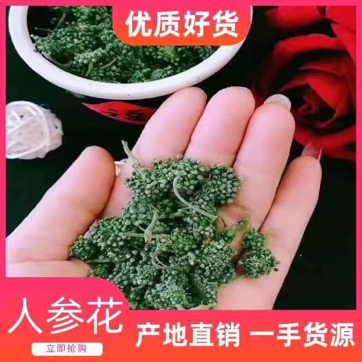 抚松县人参花茶  长白山人参花大中小大量批发质量好