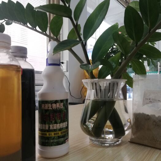 南宁花卉专用叶面肥  花卉专用复合益生菌光合肥
