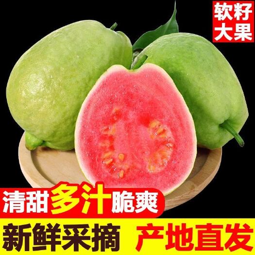 玉林广西番石榴红心芭乐白心芭乐10斤5斤装孕妇当季新鲜水果
