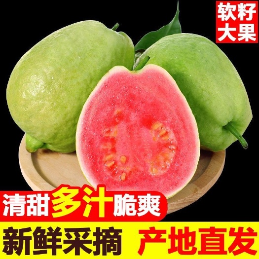 广西番石榴红心芭乐白心芭乐10斤5斤装孕妇当季新鲜水果