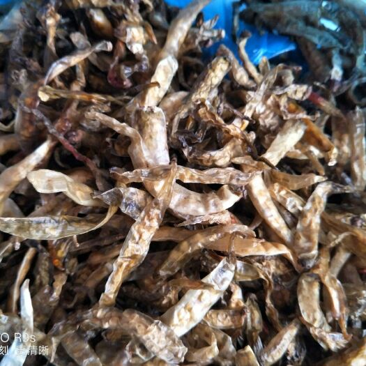 贵阳花溪辣椒  阴辣椒（贵州三宝中的一宝）