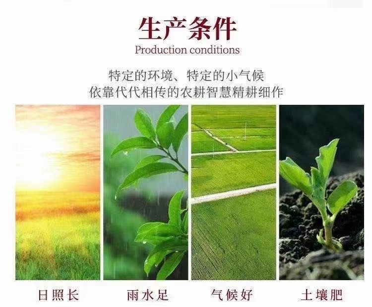 东北大米  黑龙江北大荒梧桐河珍珠米，口感细腻软糯！日照时间长