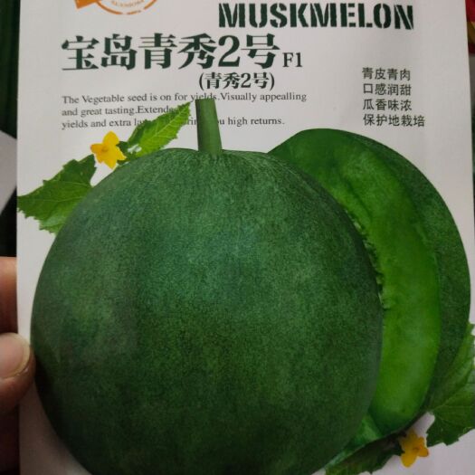 扶沟县甜瓜种子 青秀2号 青皮青肉 一代杂交，早熟圆形，皮薄肉厚