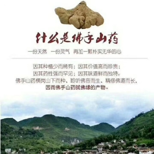湖北武穴佛手山药