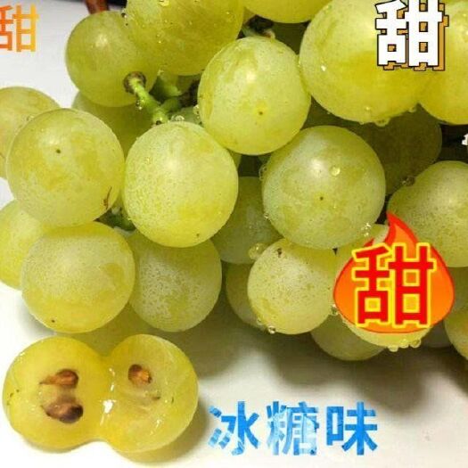 平度市泽山一号葡萄 特级果 