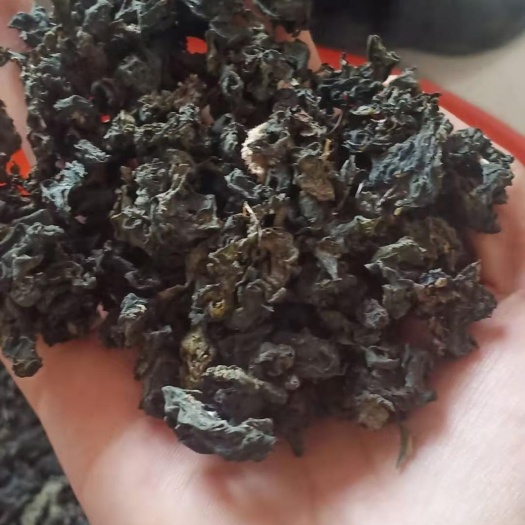 同心县地皮菜 特级