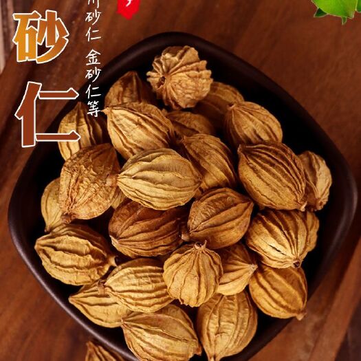 玉林香砂香砂仁中药材火锅底料调味香料贵州四川越南产地散货批发