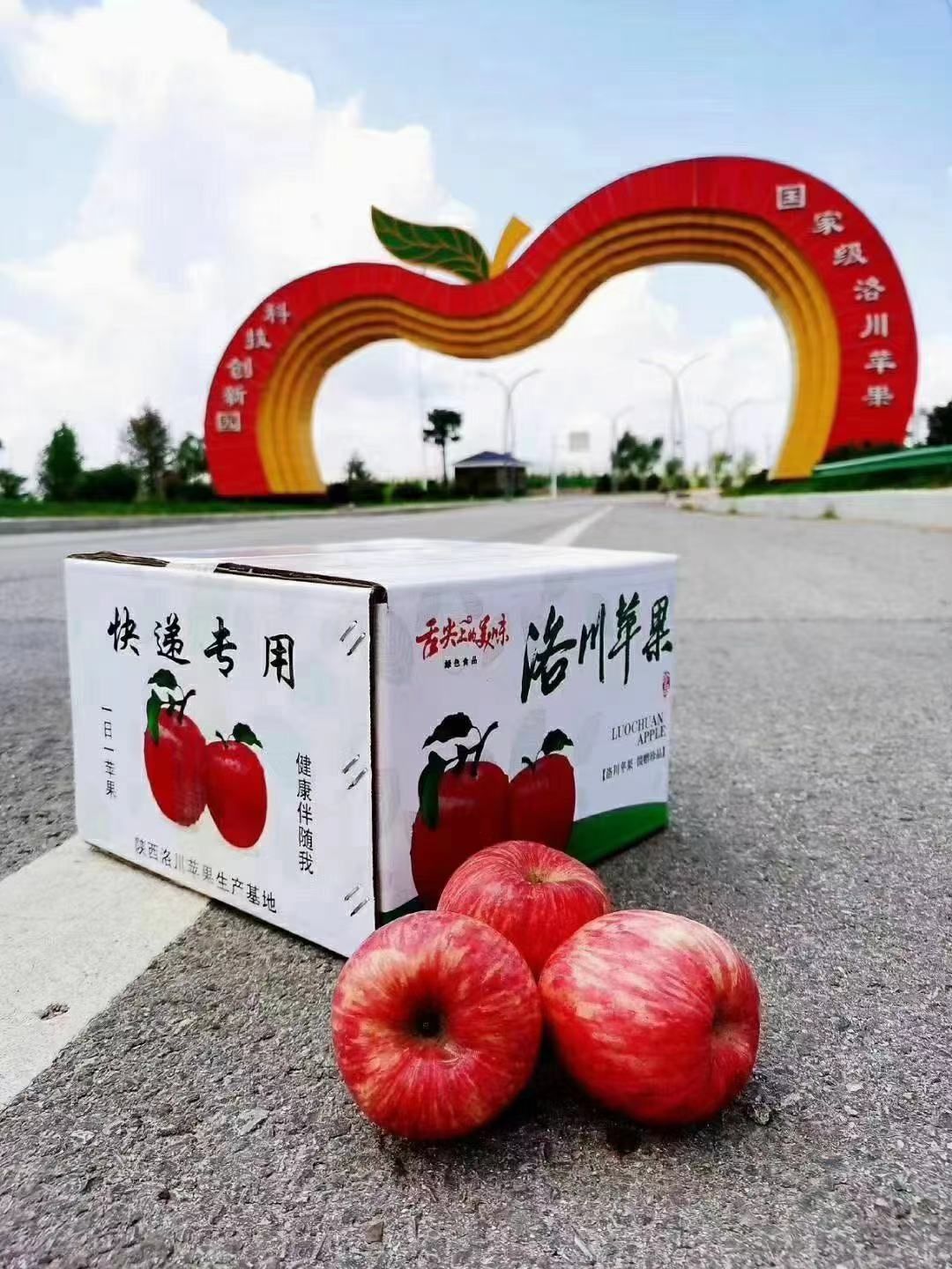洛川县红富士苹果  苹果  洛川煊程果业大果产地洛川