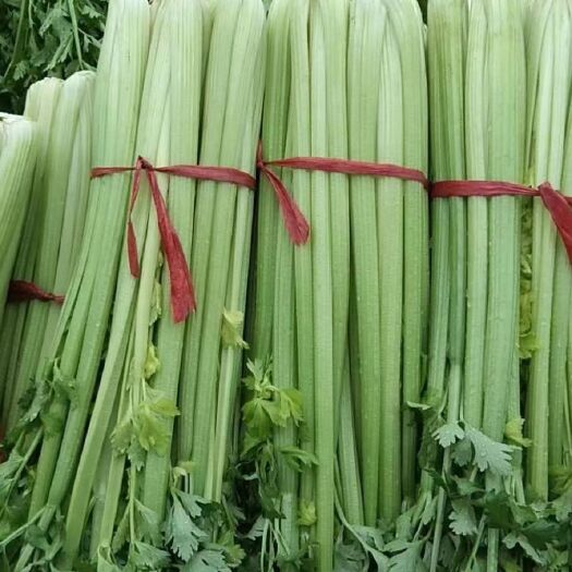 芹菜味好，漂亮。