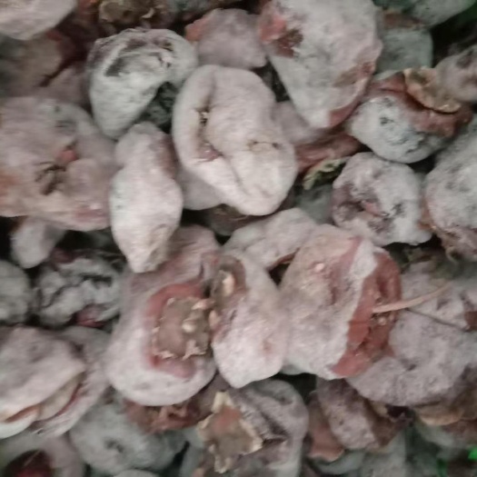 涉县 太行山老树自然成霜柿饼