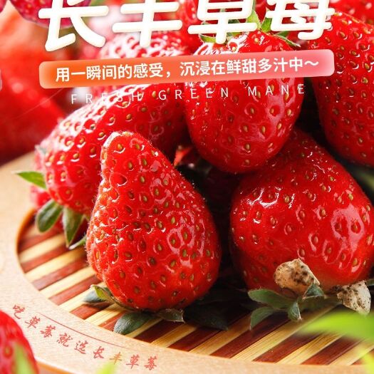 长丰合作社助农代销红颜草莓