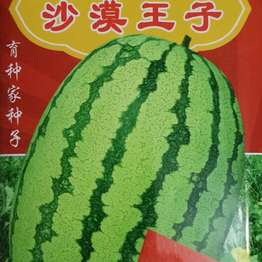 郑州西瓜种子 沙漠王子