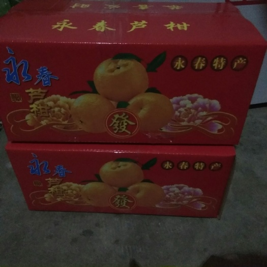 永春县芦柑  永春芦柑
