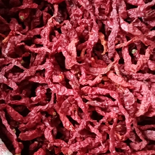 贵定县干线椒