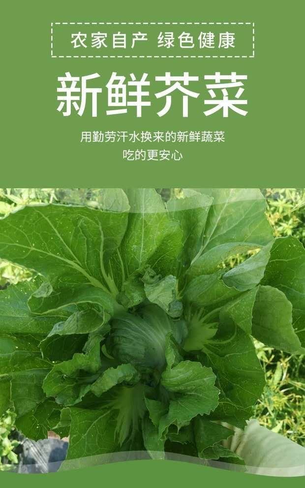 40斤一箱（8袋）一袋5斤，客家特色无盐酸菜，