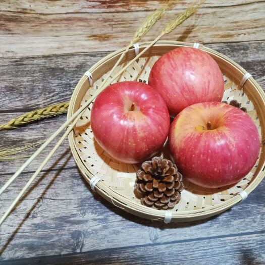 莱州市烟台栖霞红富士苹果85以上精品大果