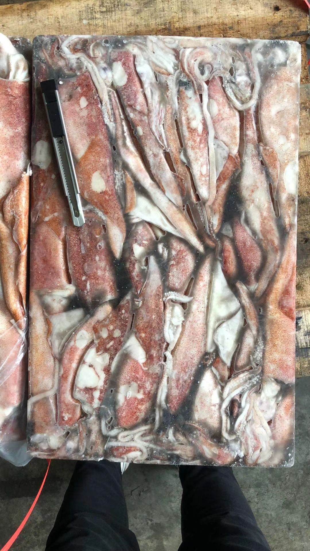  泰国鱿鱼各规格到货 一手货源