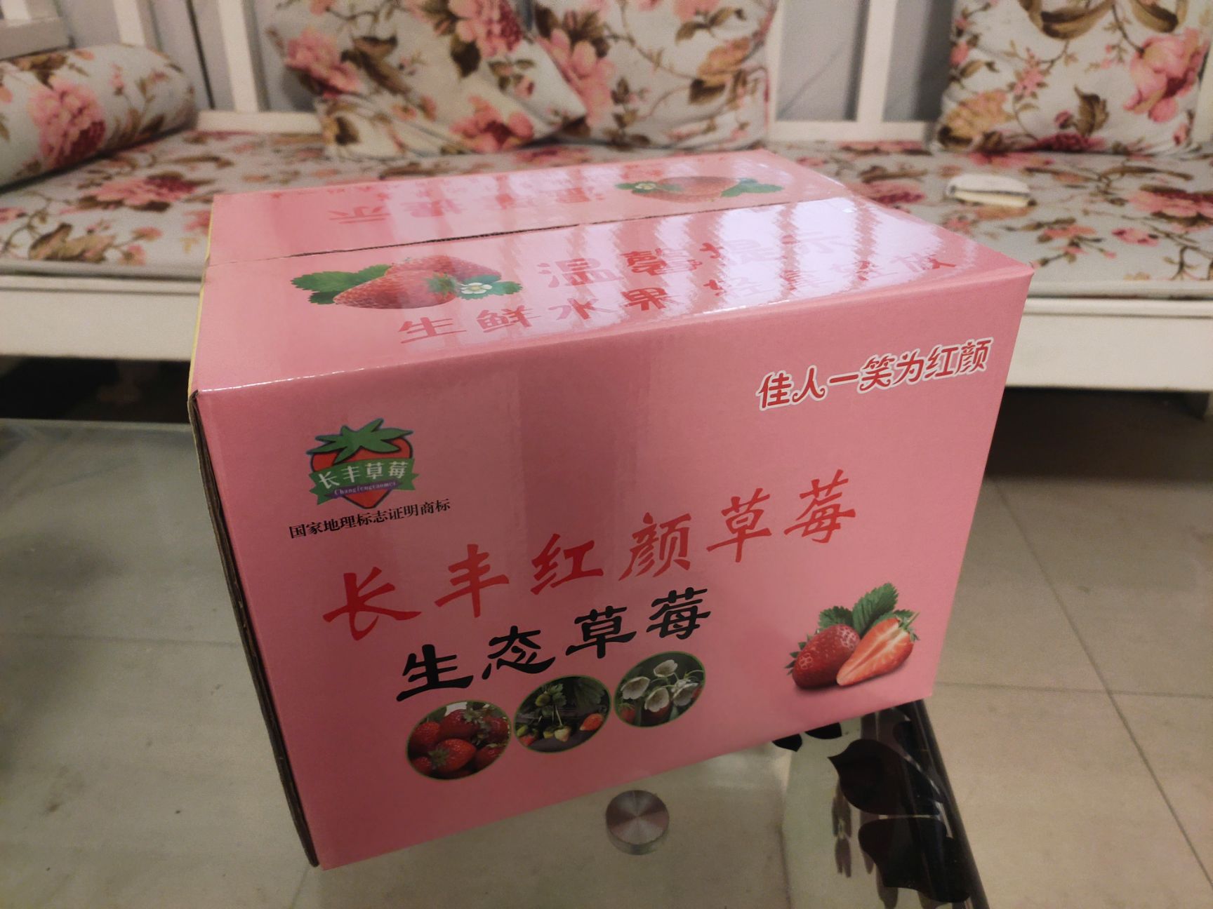 红颜草莓  周小弟红颜