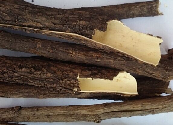 集安市 东北产刺五加皮