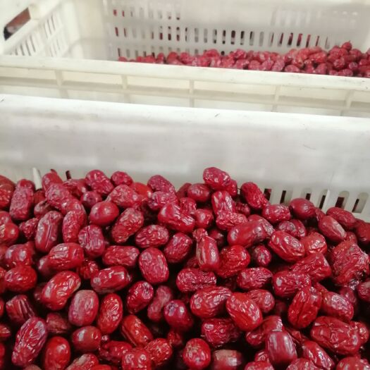 新疆阿拉尔老李家农场优质特级红枣，地头好货，承诺假一赔十