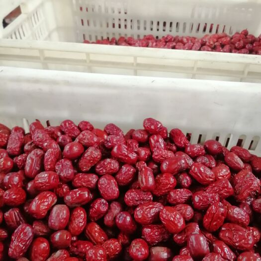 新疆阿拉爾老李家農(nóng)場優(yōu)質(zhì)特級紅棗，地頭好貨，承諾假一賠十