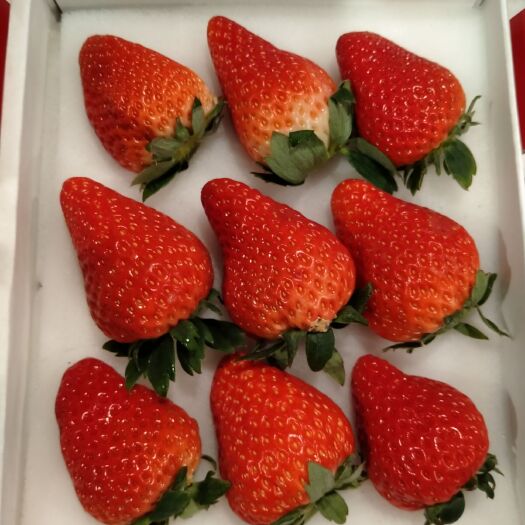 爱莎草莓草莓爱沙