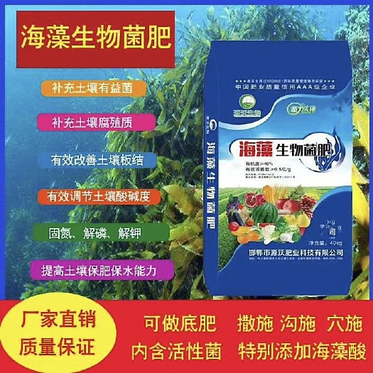 邯郸微生物有机肥  海藻生物菌肥