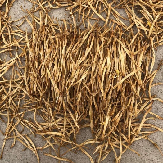 大荔县大荔县托盘菜