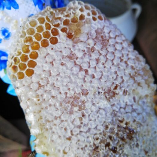 剑川县一年采一次的高海拔百花土蜂蜜
