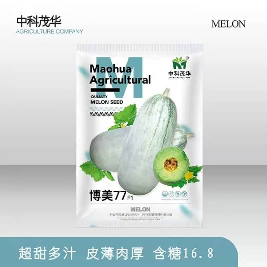 夏邑县博美77甜瓜种子，短棒型，糖度16.8，酥甜多汁