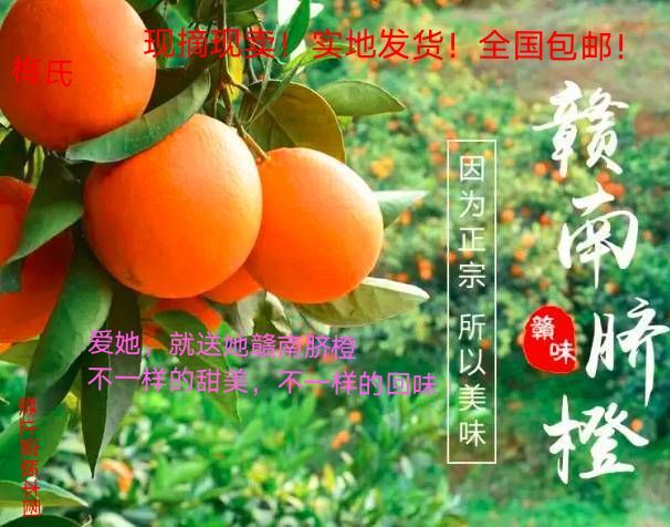 安远县脐橙  优质赣南“橙”，果好味更纯