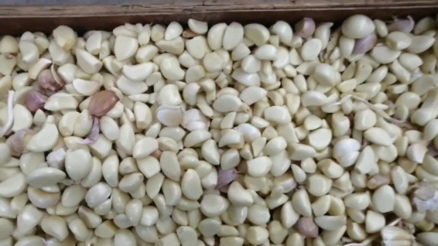 金乡县去皮机  小型蒜米机