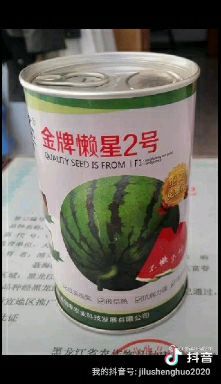 林甸县京欣西瓜种子 2020种子出来了，有需要种子的联系我，免整枝压蔓，懒汉西瓜