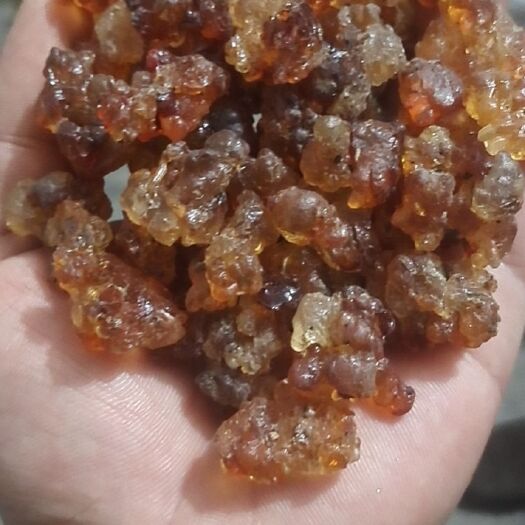 随县野生桃胶  红桃胶，形状好，过筛货