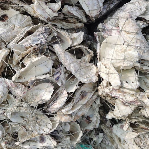 大连贝壳粉 牡蛎壳粉  海参圈  虾圈  牲畜饲料