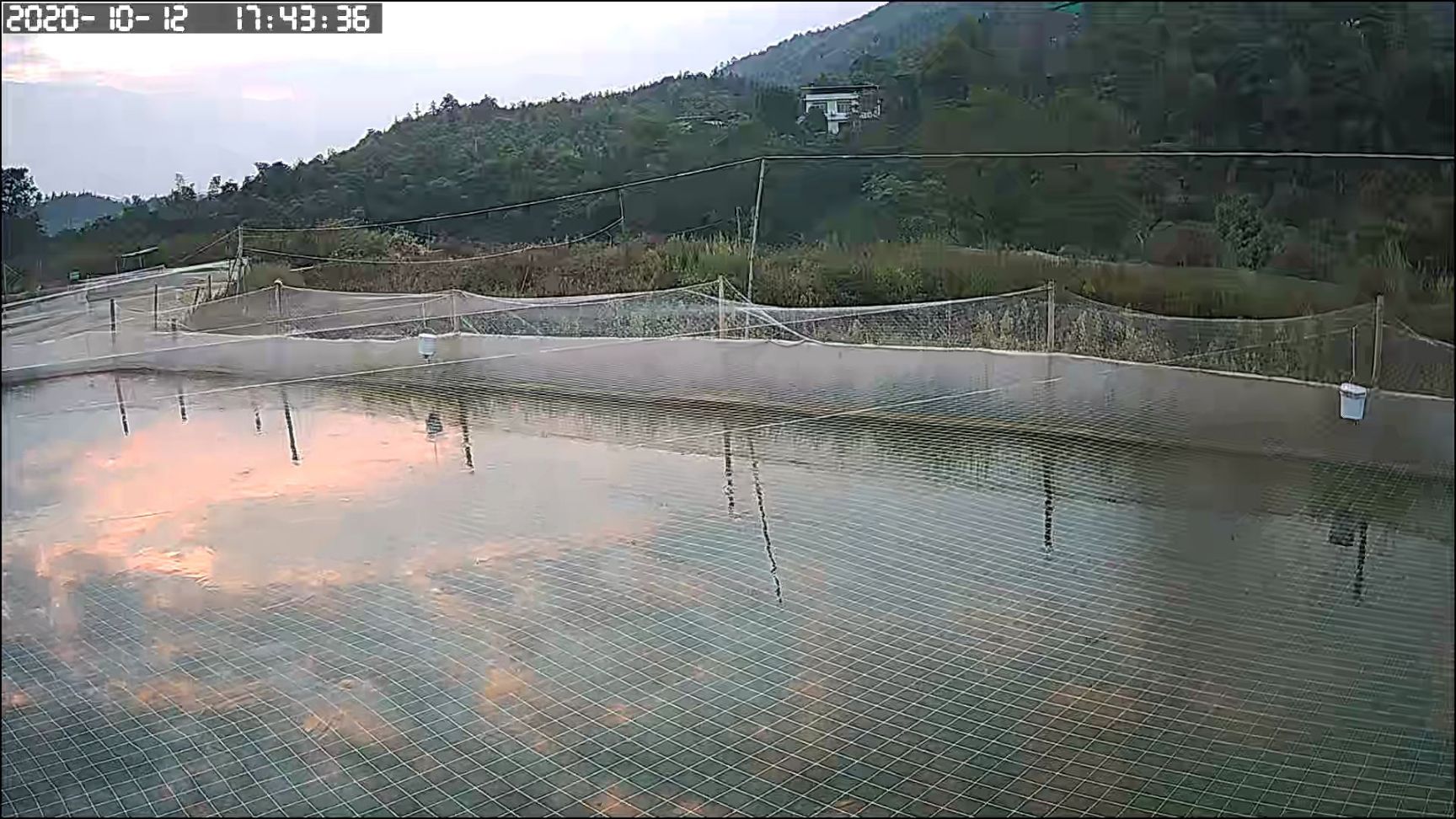泥鳅10斤包邮 各种规格成品泥鳅