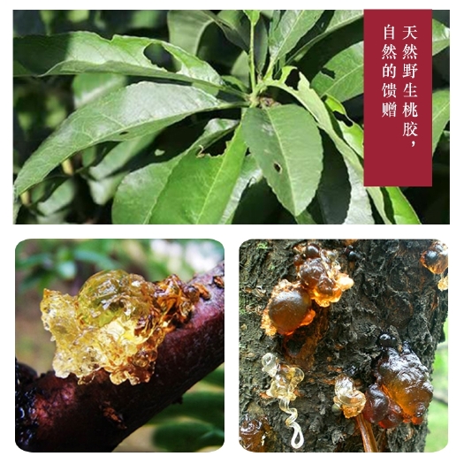 文山市云南桃胶 〔桃花泪〕