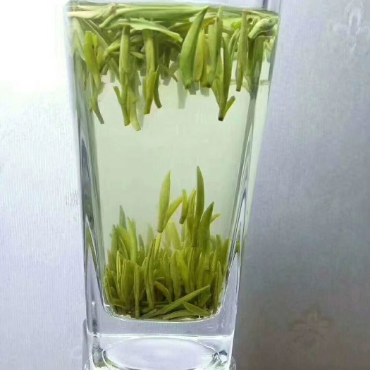湄潭县湄潭翠芽 喝好茶：选有机：