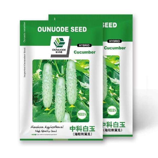 夏邑县中科白玉水果黄瓜种子，有刺溜，瓜色绿白，肉质细腻