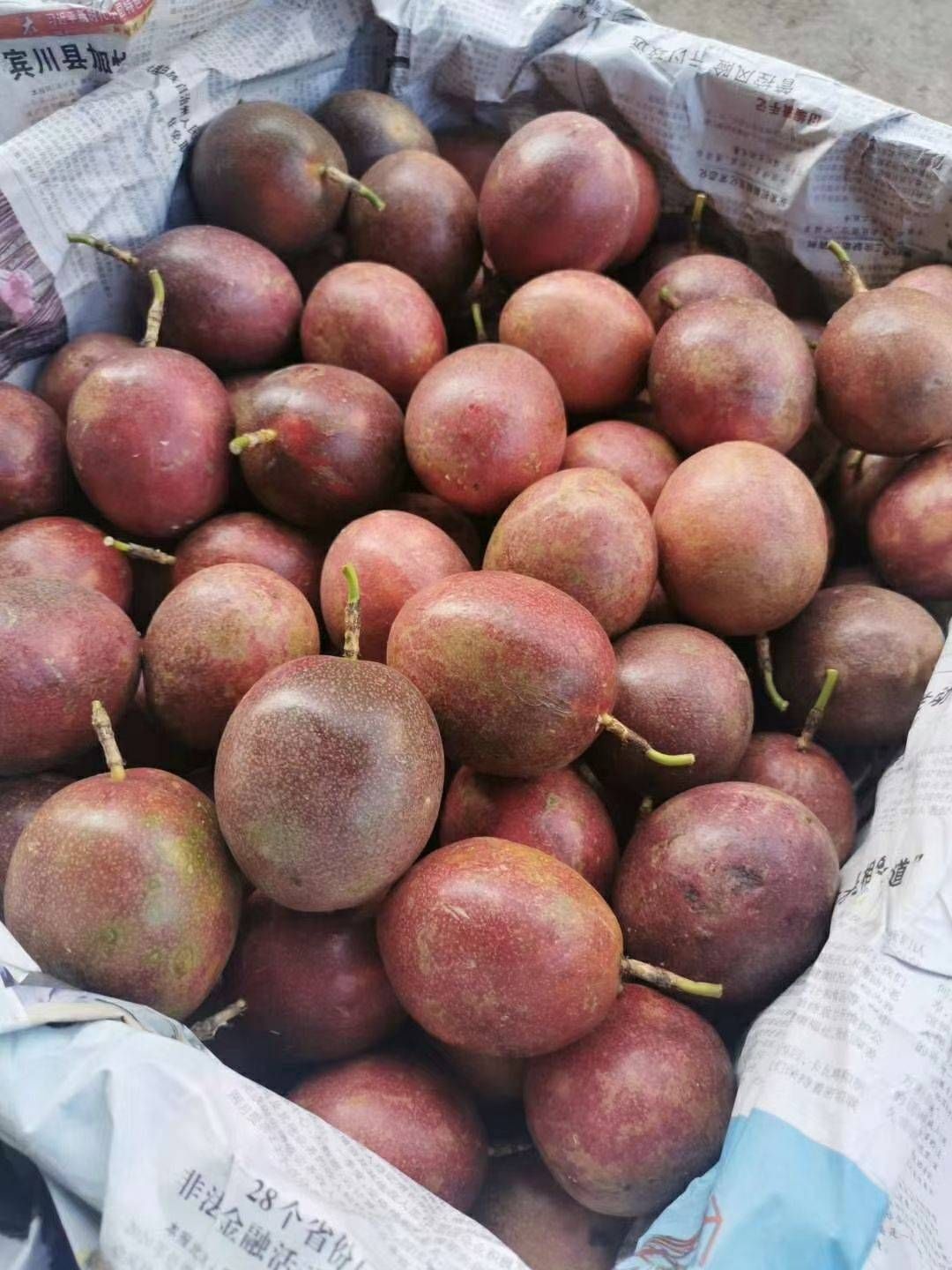 傣蜜百香果  云南德宏州百香果5斤大果泡沫箱发货只要19.9元承接一件代发