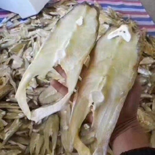 北海鲅鱼干  风干马友鱼干