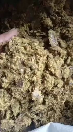 棉粕  优质棉籽饼，育肥好饲料，保质保量，欢迎光大客户随时选购！